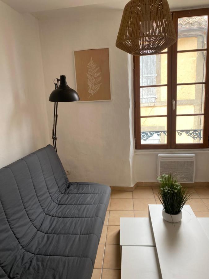 Carcassonne Situe Plein Centre Apartment Bagian luar foto